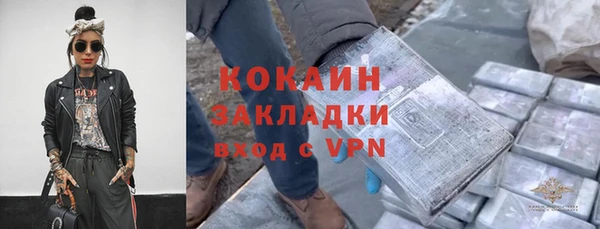 хмурый Алзамай