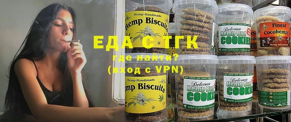 хмурый Алзамай