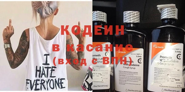 хмурый Алзамай