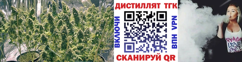 ТГК концентрат  наркотики  Болотное 